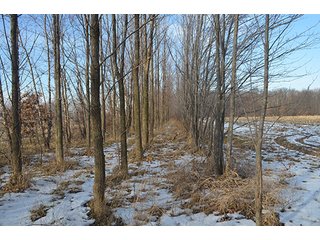 Property photo 42 - FARMLAND AUCTION, 60+/- Acres in 6 Tracts ranging from 4 to 20 acres & in combinations!